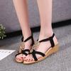 2025 Summer Women's Shoes New Womens Wedge Shoes Non Slip Slip On Beach Shoes Wear Resistant Sandals for Women Hot Sale