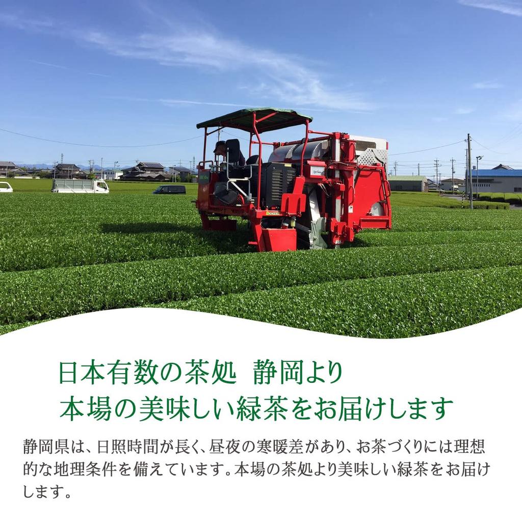 Organically Grown Green Organic Shizuoka No No Chemical Special Tea 100g Tea, Tea, Pesticides, Fertilizers, 100% First-picked First-pick Tea, Leaves,