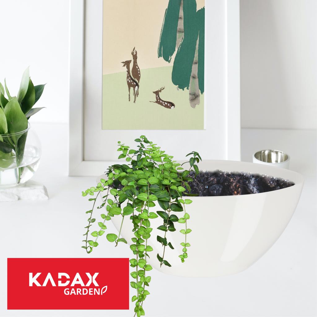 KADAX Горшок Кашпо Для Цветов 21 см Овальное Кашпо Подставка Пластиковый Белый