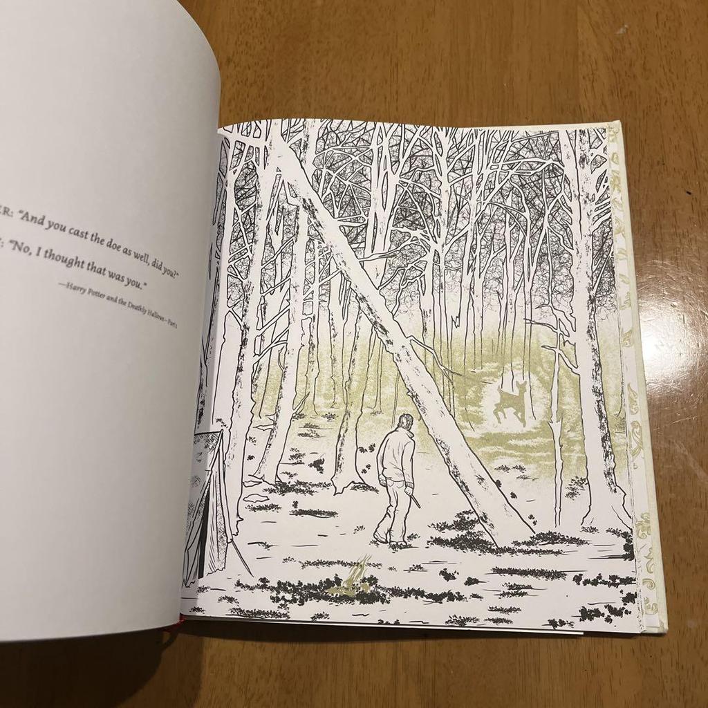 [USED] Harry Potter: A Cinematic