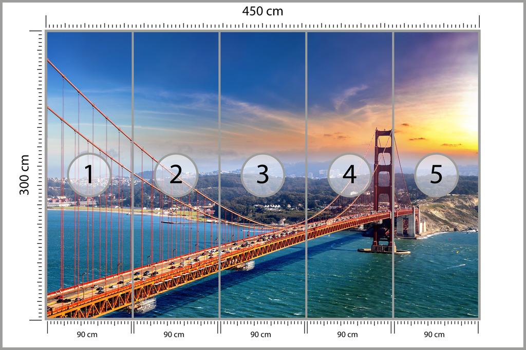 Photomural Golden Gate Bridge In San Francisco Structural Vinyl 450x300