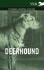 Книга The Deerhound - A Complete Anthology of the Dog -
