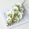 Artificial Phalaenopsis Orchid: Elegant Home Decor Faux Flower Arrangement for Living Room