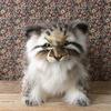 [Плюшевая игрушка HANSA Manul Cat 30] Кошка Кошка Мягкая игрушка Реалистичный вид как у настоящего питомца