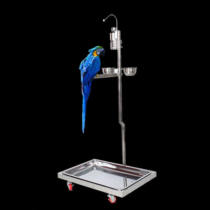 Double Parrot Perch: Stainless Steel Bird Stand with Dual Bird-Shaped Viewing Poles for Two Birds