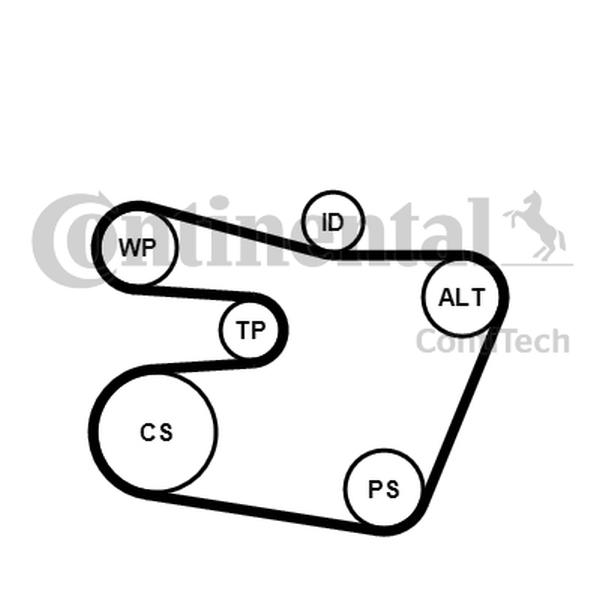 Contitech Multi-V Belt Kit BMW E46 2.0-3.0