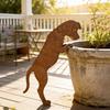 Rustic Metal Dog Garden Statue Vintage Cat Lawn Ornament Dog Pot Hugger Decor  Courtyard