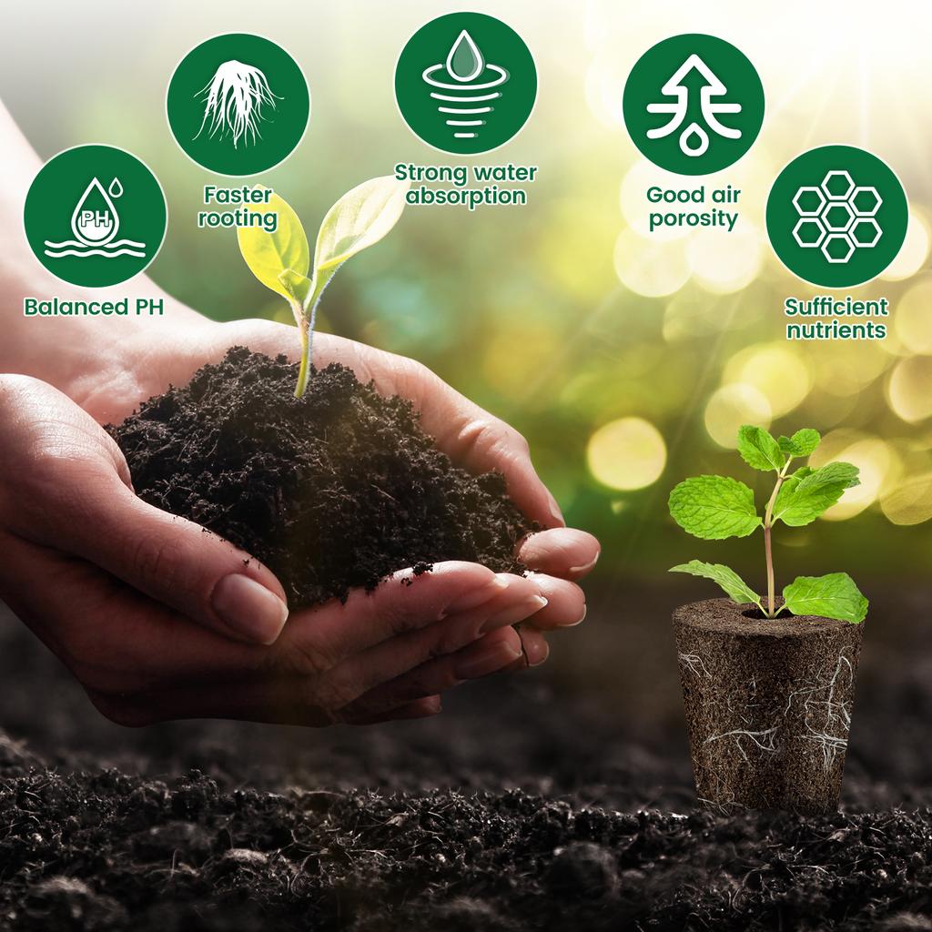 100 шт. губок для выращивания семян, сменные губки для роста корней, стартовые пробки для рассады, стартовые семенные коробочки, гидропонная посадка в саду