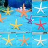 Красочные Мини Морские Звезды Смола Ремесла Украшения Для Аквариума И Аквариума