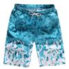 Men's Quick-Dry Beach Shorts: Summer Seaside Swim & Sports, Loose Five-Point Pants for Couples