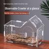 Small Acrylic Reptile Habitat: Transparent Observation Box for Spider, Lizard, Mantis, and Rainforest Landscape