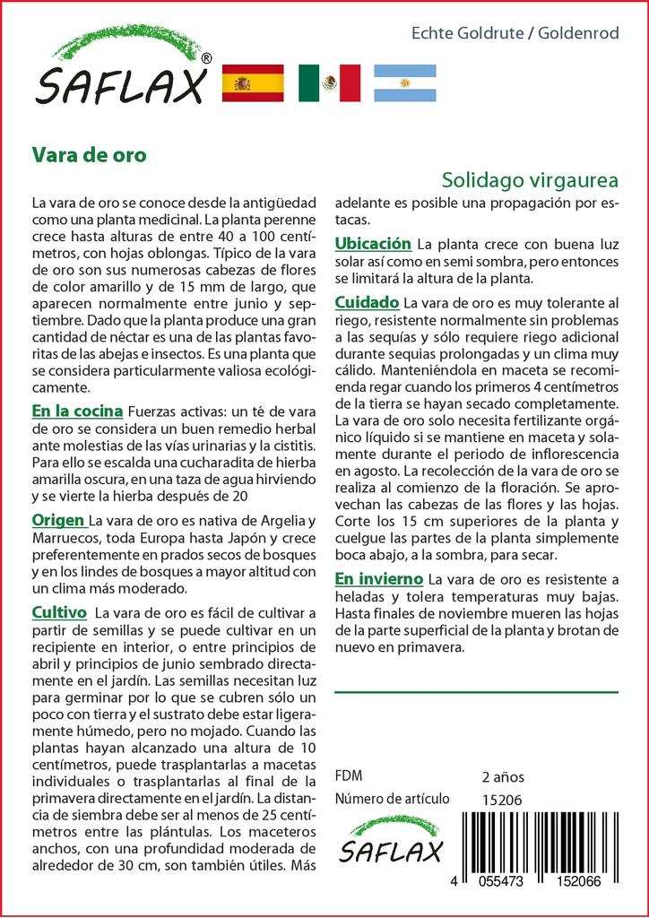 SAFLAX Garden in the Bag - Золотарник - 100 семян - С субстратом в подходящем пакете-стойке - Solidago virgaurea