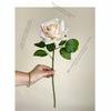 Real Touch Rose Artificial Flower Multicolor Lifelike Rose Flower Faux Flower  Home Decoration