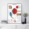 Anatomical Function Human Eye Diagram Art Posters Prints Body Map Medical Education Canvas Painting Wall Art for Hospital Decort