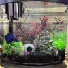 Fishtanks Scene Decoration with 7Pieces Artificial Fishtanks Plastic Plant and Cave Rock Aquariums Landscaping Coral Grass X3UC