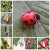 Outdoor Insect Figurine Lifelike Micro Landscape Delicate Insect Fridge Magnet  Home