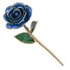 Real Dipped Blue Rose with Bracket Flower Decoration 24K Gold Plated Green Leaf Gift for Birthday