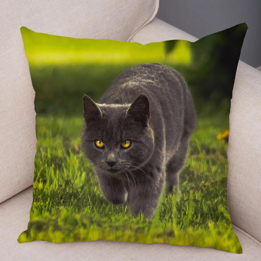 Русская голубая Британская короткошерстная Наволочка Декор Милый кот Домашнее животное Животное Наволочка Мягкий плюшевый Чехол для подушки для машины Дивана Дома