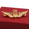 Военный командный пилот ВВС США во время Второй мировой войны, значок с металлическими крыльями, Золотая пятиконечная звезда, прищепки для одежды