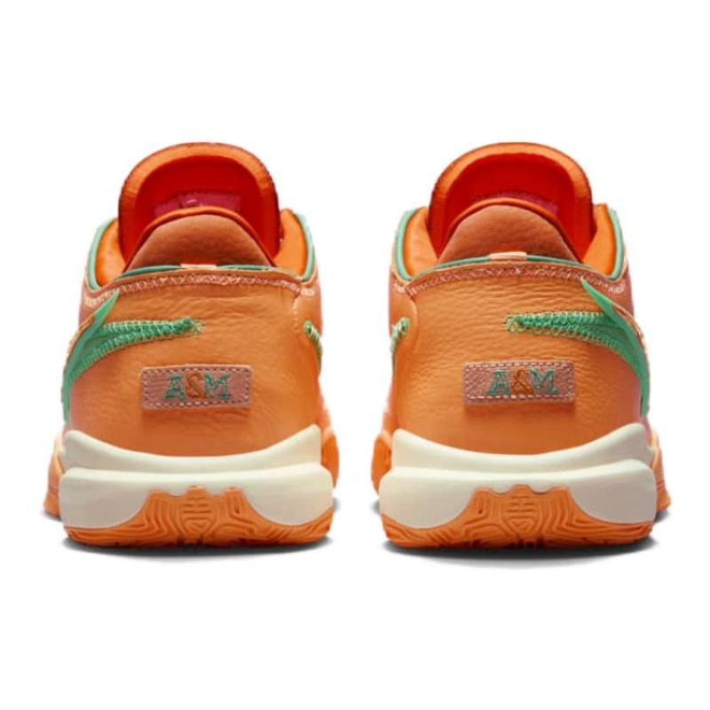 Nike Кроссовки LeBron 20 Famu Peach Cream FN8263-800