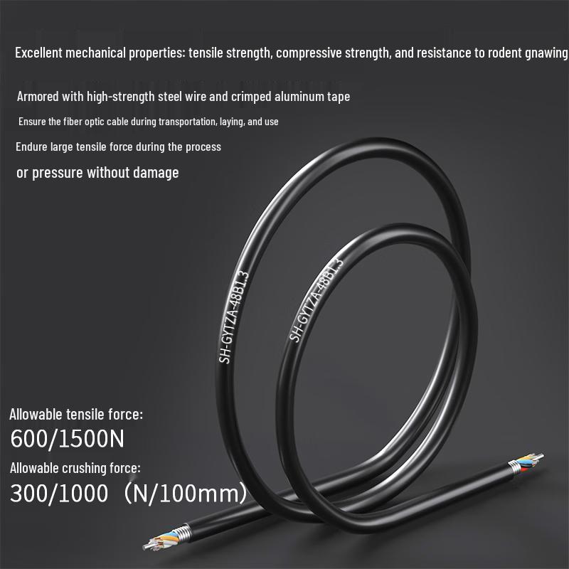 Suhao GYTZA Outdoor Armored 48-Core Single-mode Fiber Optic Cable