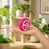 Durable Dog Teeth Cleaning Toys Round Shield Toy, Squeaky Latex Chew Interactive for Tartar Control And Gum Health Fetch Toy Small Medium Dogs
