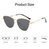 Oversized Eyewear Trending Shades Cat Eye Sunglasses Ladies Shades Small Vintage Sunglasses