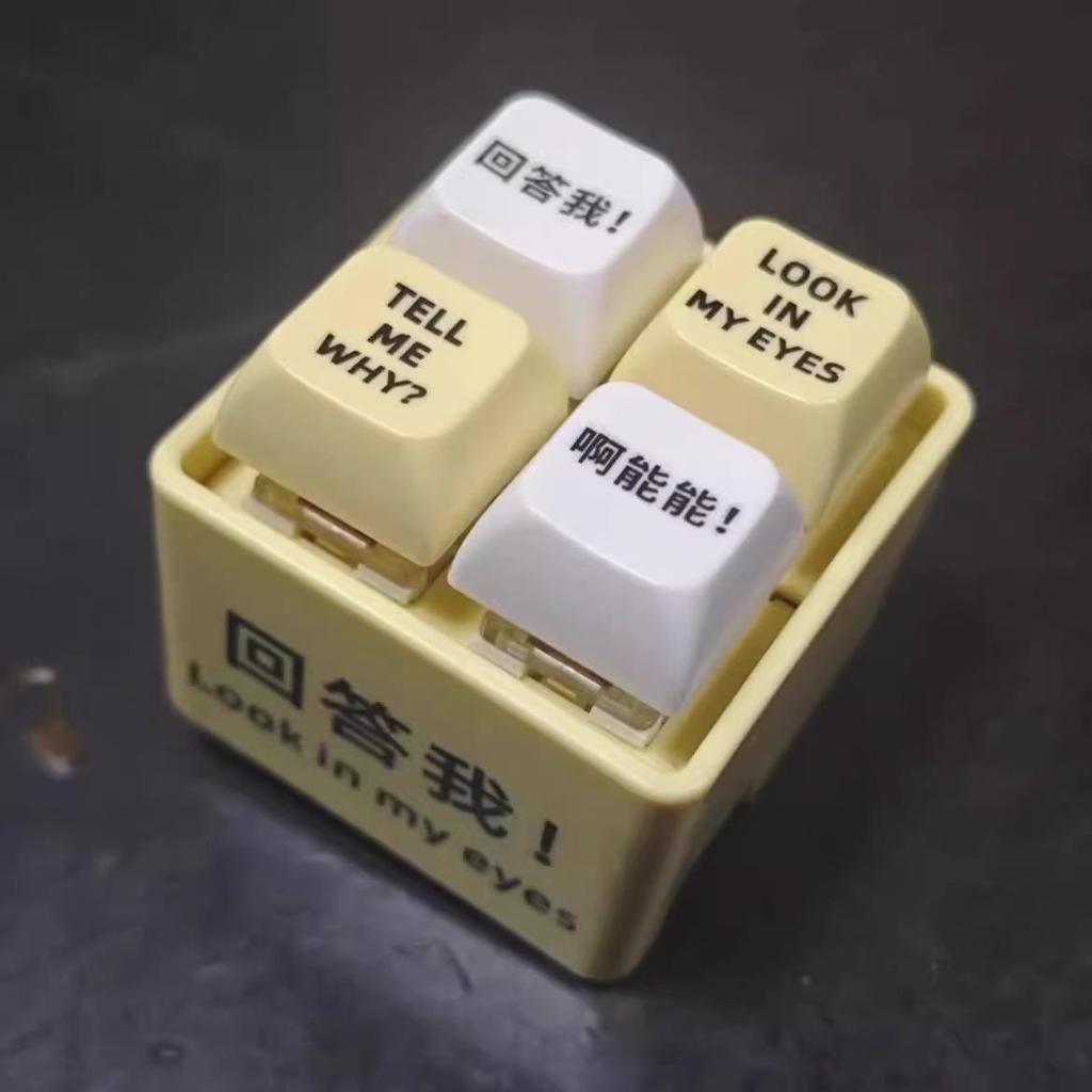 Voice-Activated Luminous Keychain – Decompression Aid