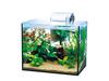 Tetra Glass Aquarium All Glass Aquarium Fish Tank Aquarium Tropical Fish Medaka Goldfish GA-300F