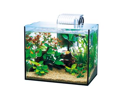 Tetra Glass Aquarium Полностью стеклянный аквариум Fish Tank Аквариум тропическая рыбка Medaka Goldfish GA-300F