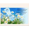 Chamomile Hand Cream