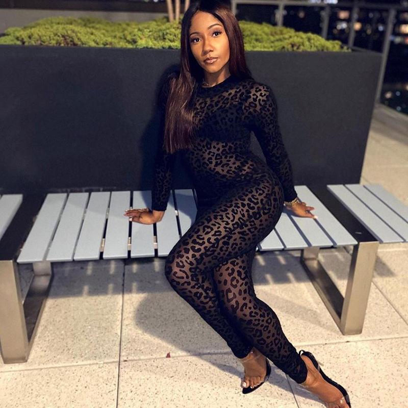 Hirigin Animal Instinct Mesh Bodystocking Leopard See Through Velour Long Sleeve Rompers Womens
