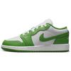 Детские кроссовки Air 1 Low GS Chlorophyll Green White Lightning HF4779-100