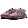 Nike Pegasus Trail 5 Plum Dust женские кроссовки фиолетовые платиново-фиолетовые запредельно-розовые DV3865-500
