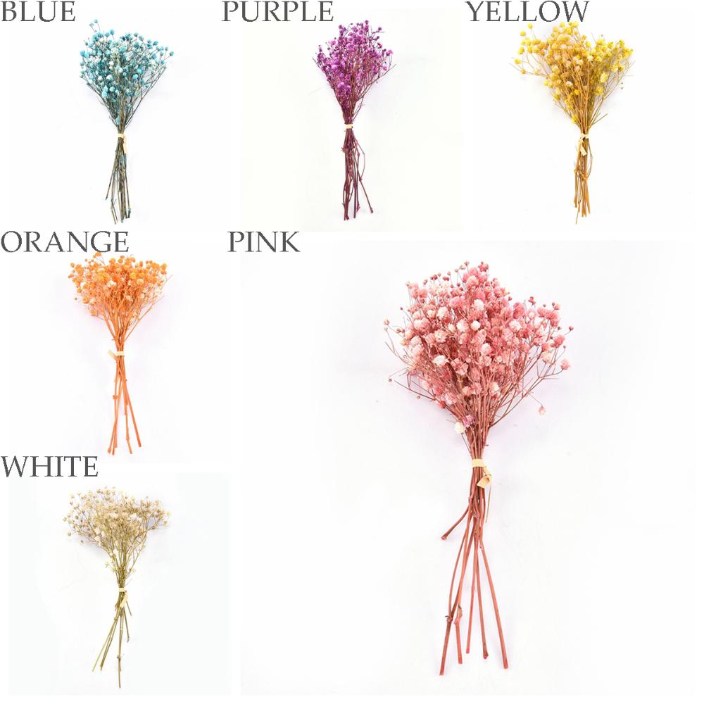 Сделай сам Вечеринка Натуральный Маленький Мини Прессованный Букет из Гипсофилы Сухоцветы Сухой Цветок