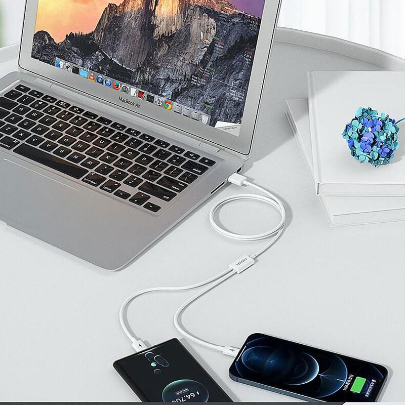 PISEN Multi-Function 2-in-1 Charging Cable for Apple, Huawei, and Type-C Devices