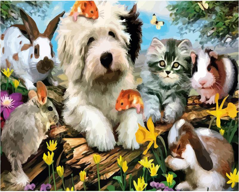 40x50 см живопись по номерам собака рисунок на холсте ручная роспись живопись искусство подарок DIY фотографии по номерам наборы животных домашний декор