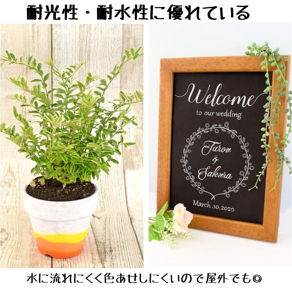 Sakura Crepas Pen Pigmax Twin Red 10 Pieces Water-based ZPK-T10P#19