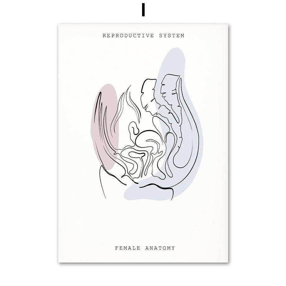 Минималистичный Красочный Анатомический Линия, медицинский плакат и принты, настенное искусство, ухо, гортань, сердце, холст, картина, доктор, подарок, декор для клиники