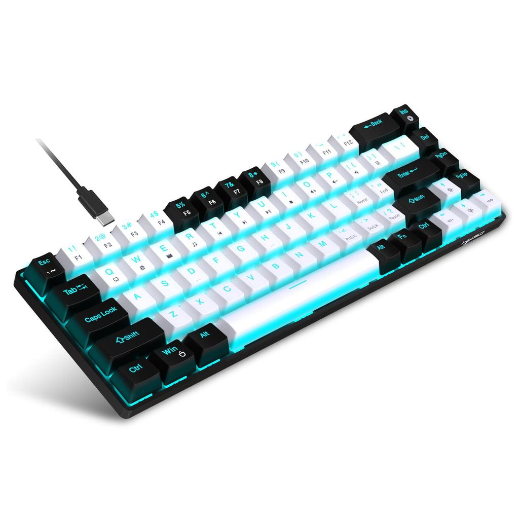 68-Key Wired Mechanical Gaming Keyboard with Hot-Swappable Blue Switches, Two-Color Keycaps, and Ice Blue Lighting