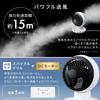 Iris Ohyama DC Motor Circulator 20 Tatami Mat with Remote 3D Random Airflow Adjustment Fan, Size, Control, Airflow, 5-Speed