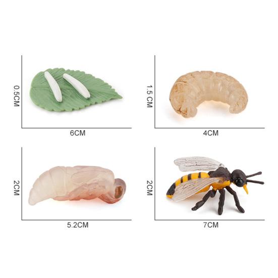 4 шт./5 шт. лягушка тарантул бабочка пчела модель наблюдения за ростом животных игрушки