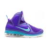 Nike Кроссовки LeBron 9 Summit Lake Hornets 469764-500