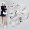 Mesh Surface Clunky Sneakers Female Summer New Breathable Female Student Sneaker Heighten Casual Shoes