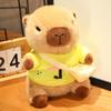 Water Guinea Pig Children'S Doll Ugly Cute Kapibara Plush Toy Capybara Jun Dressing Doll Girlfriend Gift