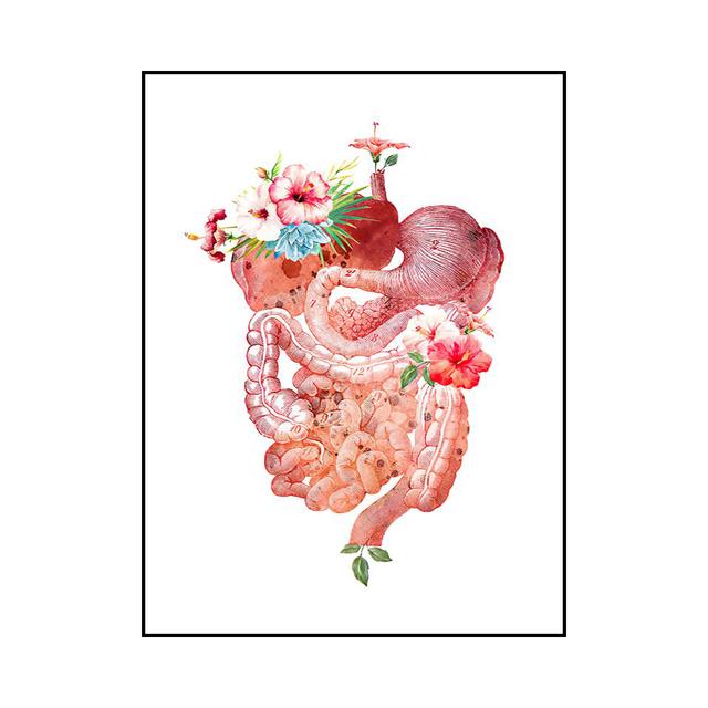 Абстрактные органы, кости, зубы, цветной настенный художественный постер, украшение дома, картина маслом, настенная живопись