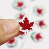 10pcs Red Maple Leaf Mini Embroidered Patches | Set for DIY Decor | On Jackets, Clothing, Backpacks, Hats, and Shoes