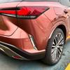 Для Lexus RX 350 350h 450h+ 500h 2024 ABS Пластик Зеркало Задний Бампер Автомобиля Вентиляционное Отверстие Декоративная Накладка Накладка на Бровь Аксессуары