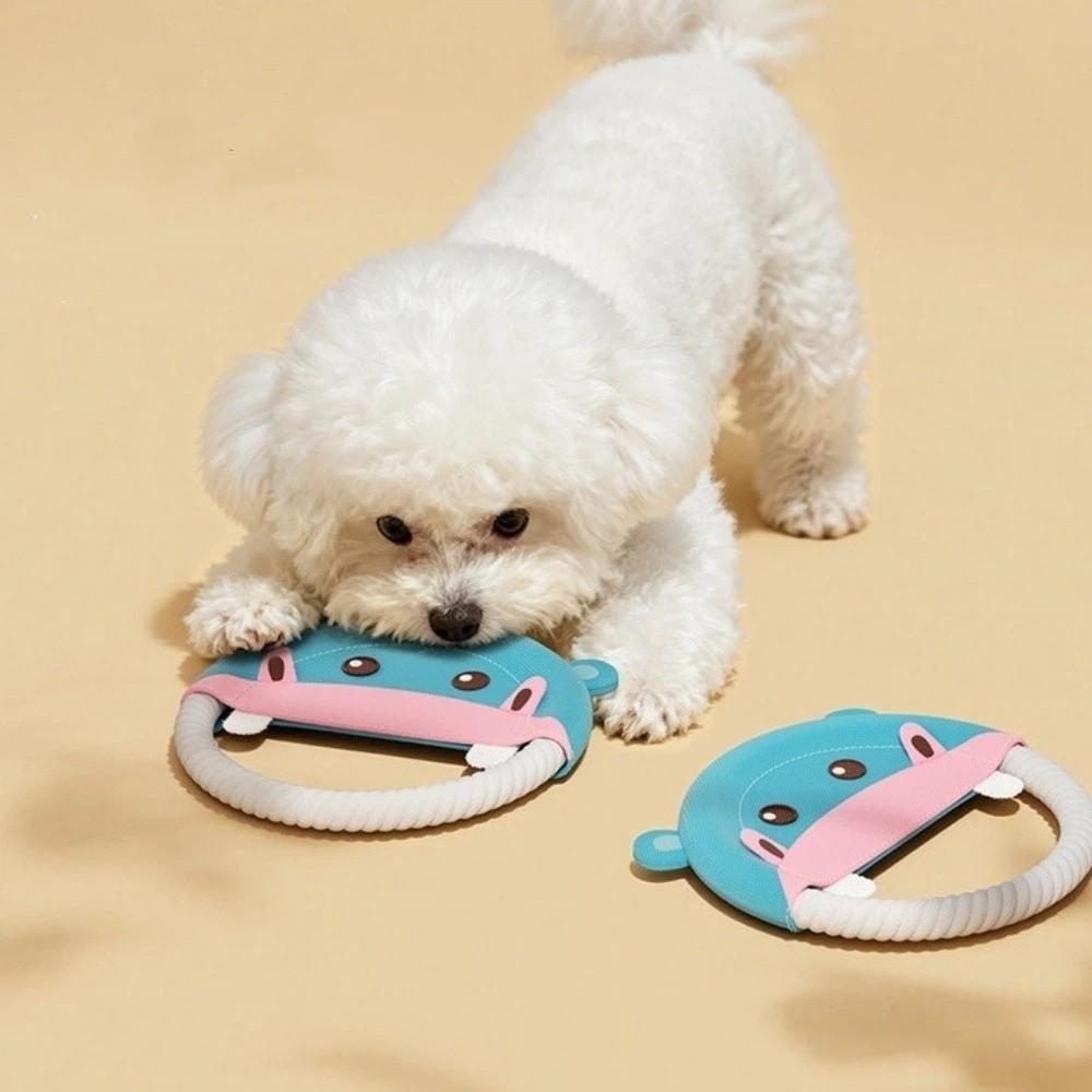 Bite-Resistant Interactive Dog Toy Durable Puppy Chew Toy Pet Teeth Cleaning Toy Outdoor Game