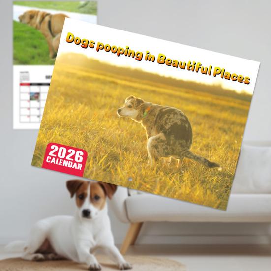 2026 Wall Calendar Dog Pooping/Angry Cat Calendar January 2026 - December 2026 12 Monthly Planner for Classroom Home Office